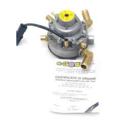 VAPO e GAS RG10 EG5761-L8