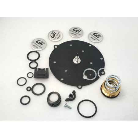 VOLLSTÄNDIGES VAPO-KIT RENAULT SGI OHNE NADEL AG6052MOD-K47