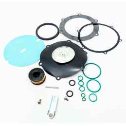 KIT VAPO LANDI RENZO LIO2-LI03 LR0222-K50