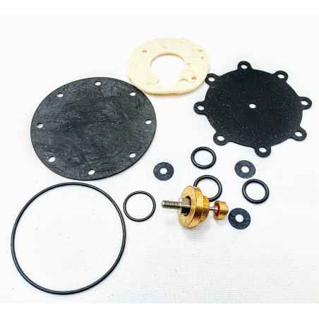 KIT DE REPARO eGAS RG10-RG5764-L52