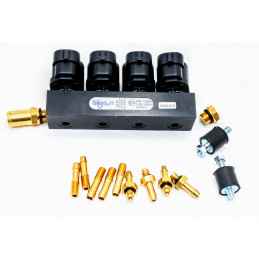 INJECTOR RAIL BIGAS HS201- 4 CILINDERS BI7572-E9