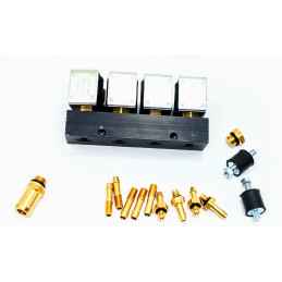 RAIL INJECTEUR BIGAS HS201- 4 CYLINDRES BI7572-E9