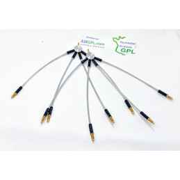 KIT DIFUSOR 8 CIL FLASHLUBE FLGO8213A-N1