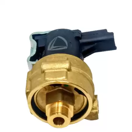 VÁLVULA SOLENOIDE LANDI RENZO DACIA EL0209-J55