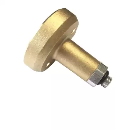 Adaptador de GLP Ø10 para Chevrolet Aveo BRN4860-C22