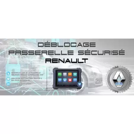 PAQUETE AUTEL RENAULT AUTEL 20 FICHAS