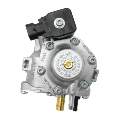 VAPO LPG LOVATO EASY FAST RGJ LO2526 -L4