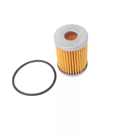 FILTRO DE GLP TARTARINI TA3662-A11