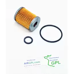 FILTRO DE GLP TARTARINI TA3662-A11