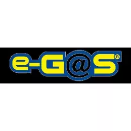 VAPORE e GAS RG10 EG5761-L8