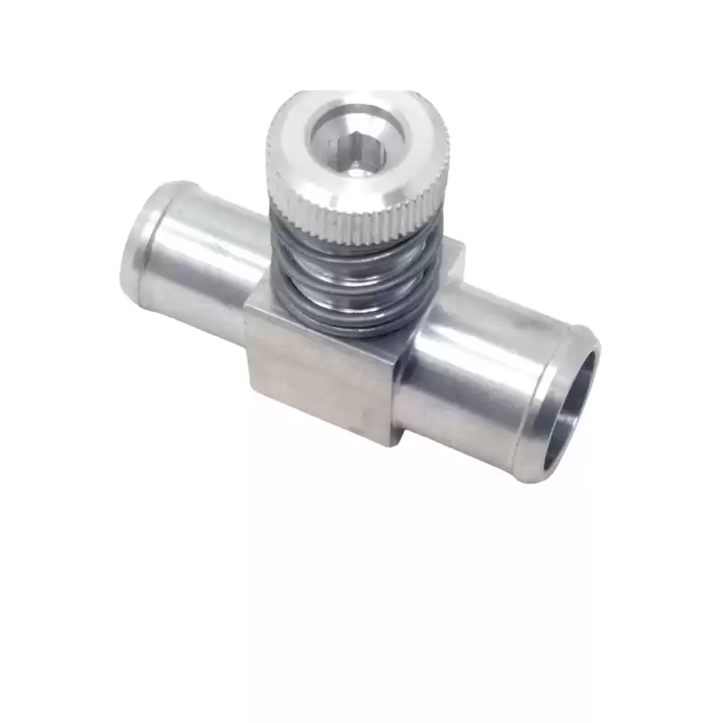TORNILLO DE AJUSTE 3000 Ø19X19 V0631-M24