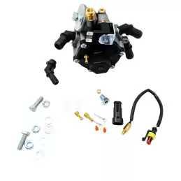 KIT SVAPO GPL RENAULT CLIO / KANGOO / TWINGO AC STAG R02EL-K11