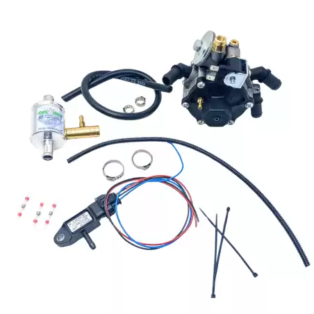 KIT DE VAPO DE GLP PARA RENAULT CLIO / KANGOO / TWINGO AC STAG R02EL-K11