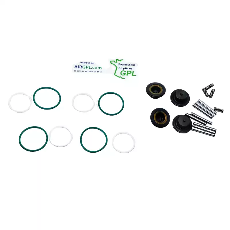 REPAIR KIT 4 CYL INJECTORS GIRS12 LR674000328-D19