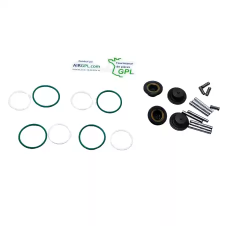 KIT DE REPARO 4 INJETORES CILINDROS GIRS12 LR674000328-D19