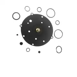 KIT VAPORE RENAULT SGI CON AGO AG6064-K48