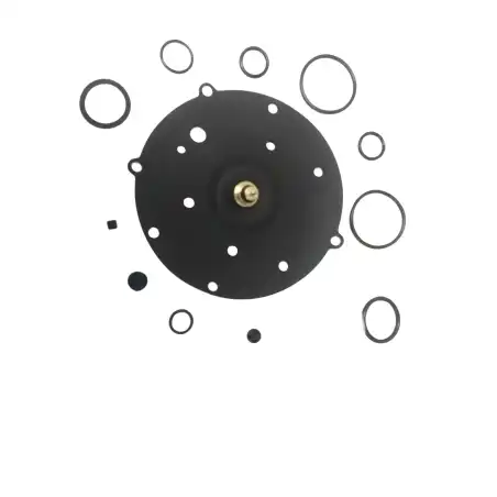 RENAULT SGI DAMPSET MET NAALD AG6064-K48