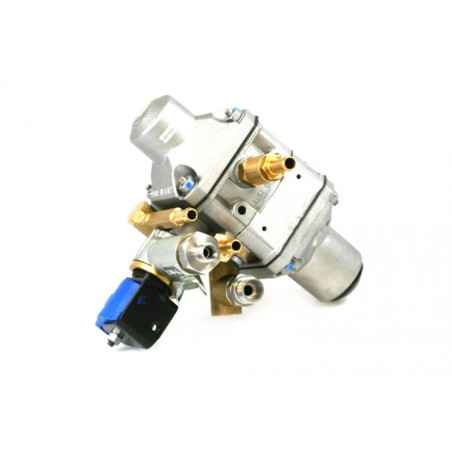 Vapo regulador, GNV Landi Renzo para Citroen Berlingo, Peugeot Partner,
