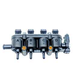 RAIL 4 ZWARTE INJECTOREN DACIA DUSTER LPG 238000131-D18