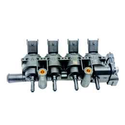 RAIL 4 BLACK INJECTORS DACIA DUSTER LPG 238000131-D18
