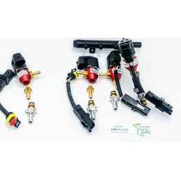 KIT 4 INIETTORI GPL RENAULT CLIO TWINGO KANGOO -RAG-G8