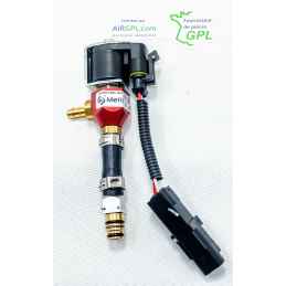 KIT 4 INYECTORES GLP RENAULT CLIO TWINGO KANGOO -RAG-G8