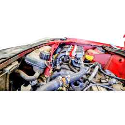 KIT 4 INIETTORI GPL RENAULT CLIO TWINGO KANGOO -RAG-G8