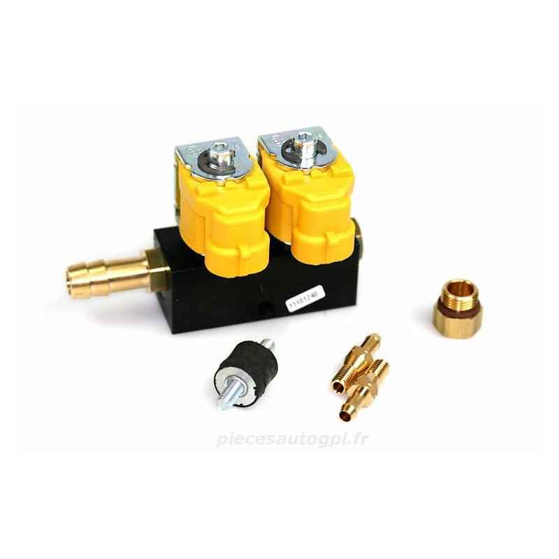 RAIL GPL 2 CYL GIALLO VALTEK VA0148