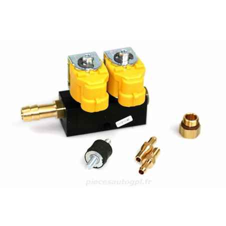 SCHIENE LPG 2 CYL YELLOW VALTEK VA0148