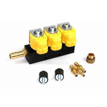 RAIL GPL 3 CYL AMARILLO VALTEK VA0147