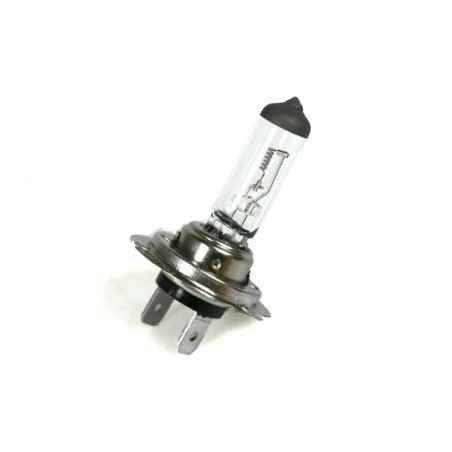 GLÜHBIRNE H7 12V 55W BLAU AM5149