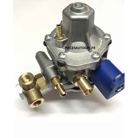 VAPO CNG TOMASETTO AT12 MAJORE AT4890