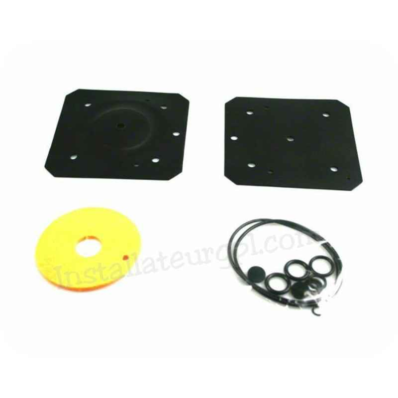 Landi Renzo IG1 LR1216 vapo reparatietas