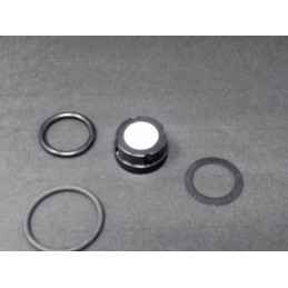 FILTRO VAPO AG GFI RENAULT AG4500A17