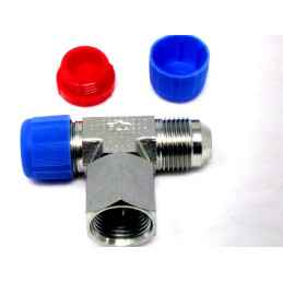 T COLLEGAMENTO GPL 2 USCITE MASCHIO + 1 INGRESSO FEMMINA RA7256-M19